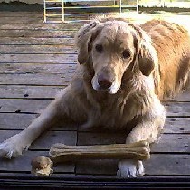 ���̂���̓���v���X�{�[��