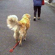 �����[����I�����čs���Ȃ��Ł`