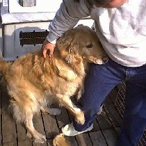 ���́[��D���Ȃ̃H�`