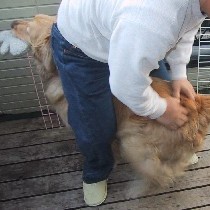 ���K�������Ă��炤�ƂȂ�����둫���W�����v�����Ⴄ�E�E�E