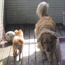 ����Ⴂ�E�E�E�E�E