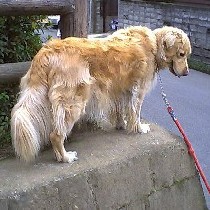 �킟�`�~���Ȃ��悧�E�E�E�E�E