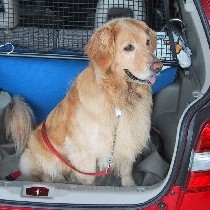 �����ŏ�荞�񂾂�`