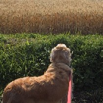 �����F�̔����Ɖ����F�̎��E�E�E