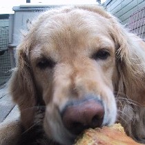 �����̕\��ł����������I