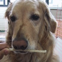 ������u�҂āv�B������Ɖߍ��H