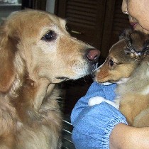 ���ƃA�~�̏��ΖʁI