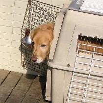 �тт铍�����