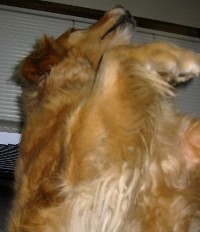 ���p���t���I