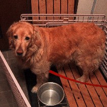 �������ł��I