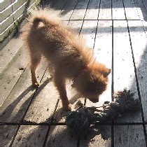 �������̂�������