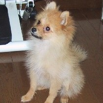 ������ł����