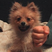 ����Ȃɏ�������ł�