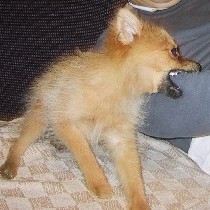 �r�����ԁ`���I