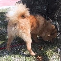 ���������E�E