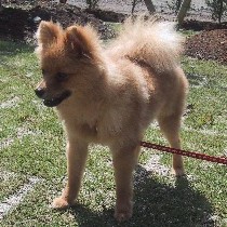 ���������`�`�E�E�E