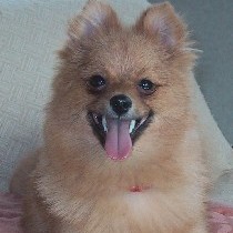 ���͂́�x�X�g�X�}�C���I