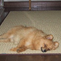 ���났�`�`��