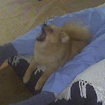 ���エ���`����i�����сj