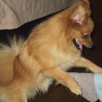 ��������I