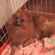 �Z�܂��̃P�[�W�̒��ł����Ƃ�