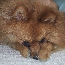 ���������āH�H�H