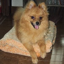 ���̏�ł����낮���B