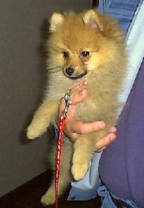 �������܂���I