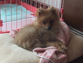 �������`�`