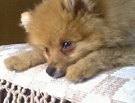 �Ȃ����A�ܖځH