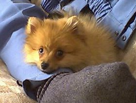 ���傤�ǂ��������Ȃ�