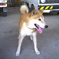 �͂��͂��E�E�E