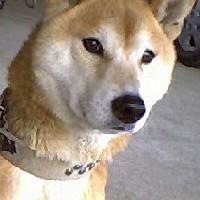 ���@�s�J�s�J�I