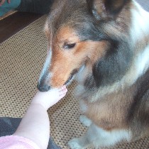 ���������H