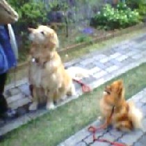 �������I