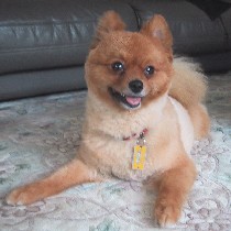 �ɂ������