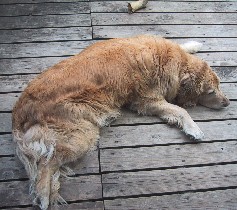 ���͉��ɂ����Ă܂���E�E�E�H