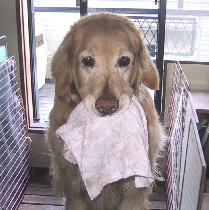 �͂₭���`�����U���������悧�`�I