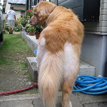 ���̂�����