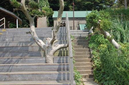 旧海軍兵舎への階段