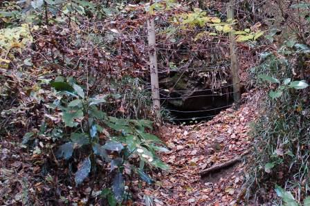 横沢入の地下壕の入口