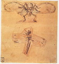 レオナルド･ダ･ヴィンチ「2点の昆虫の習作」
