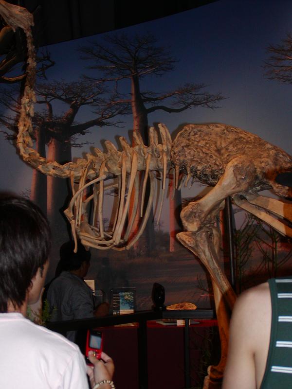 �܂����[��