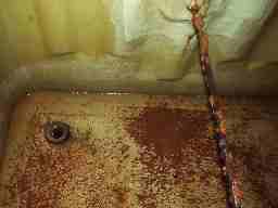 �󐅑����|�O�ʐ^