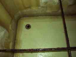 �󐅑����|�O�ʐ^