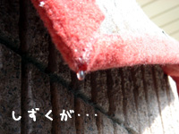 �J���g���[�}��