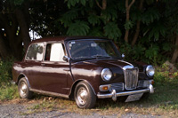 ���C���[