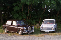 ���C���[