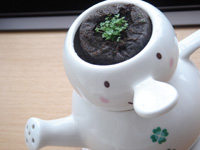 �����ȉ�