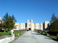 �����̃u���e�B�b�V���q���Y